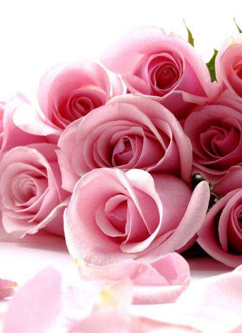 Самые популярные цветы для свадебного букета невесты и их названия - Все освадьбе